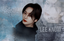leeknow001a.png