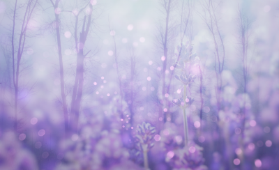 feb-textsprout-byamb1.png