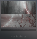 shallows-e.png